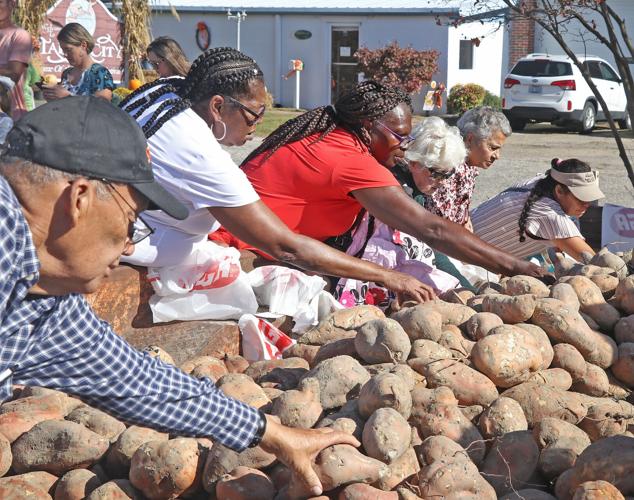 Tabor City celebrates sweet spuds photos from N.C. Yam Festival