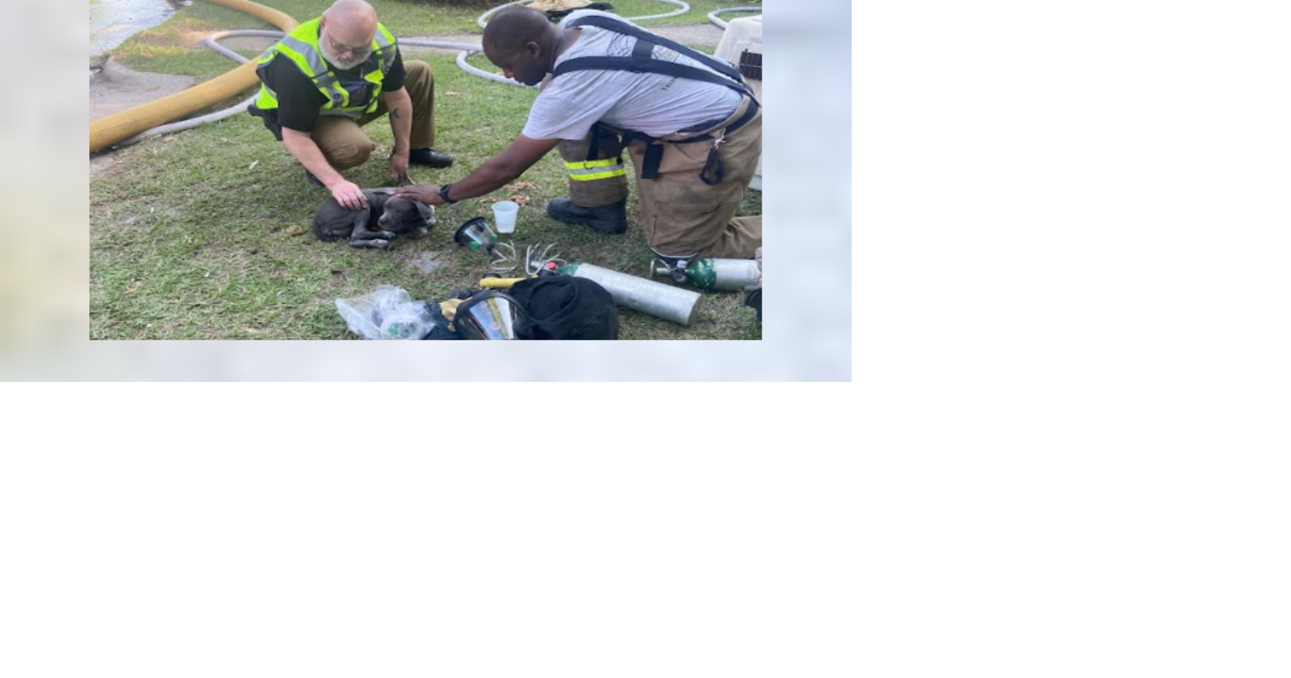 Whiteville responders save puppy from apartment fire | News ...
