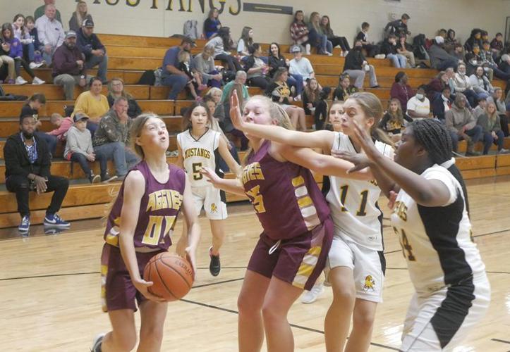 Nakina and Williams split Thursday doubleheader Sports