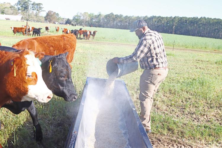 New livestock agent eager to support farmers News