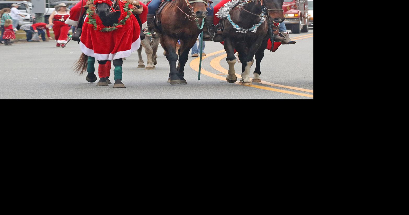 AVAIL_Lake Christmas Parade_photo6_12.6.23.jpg