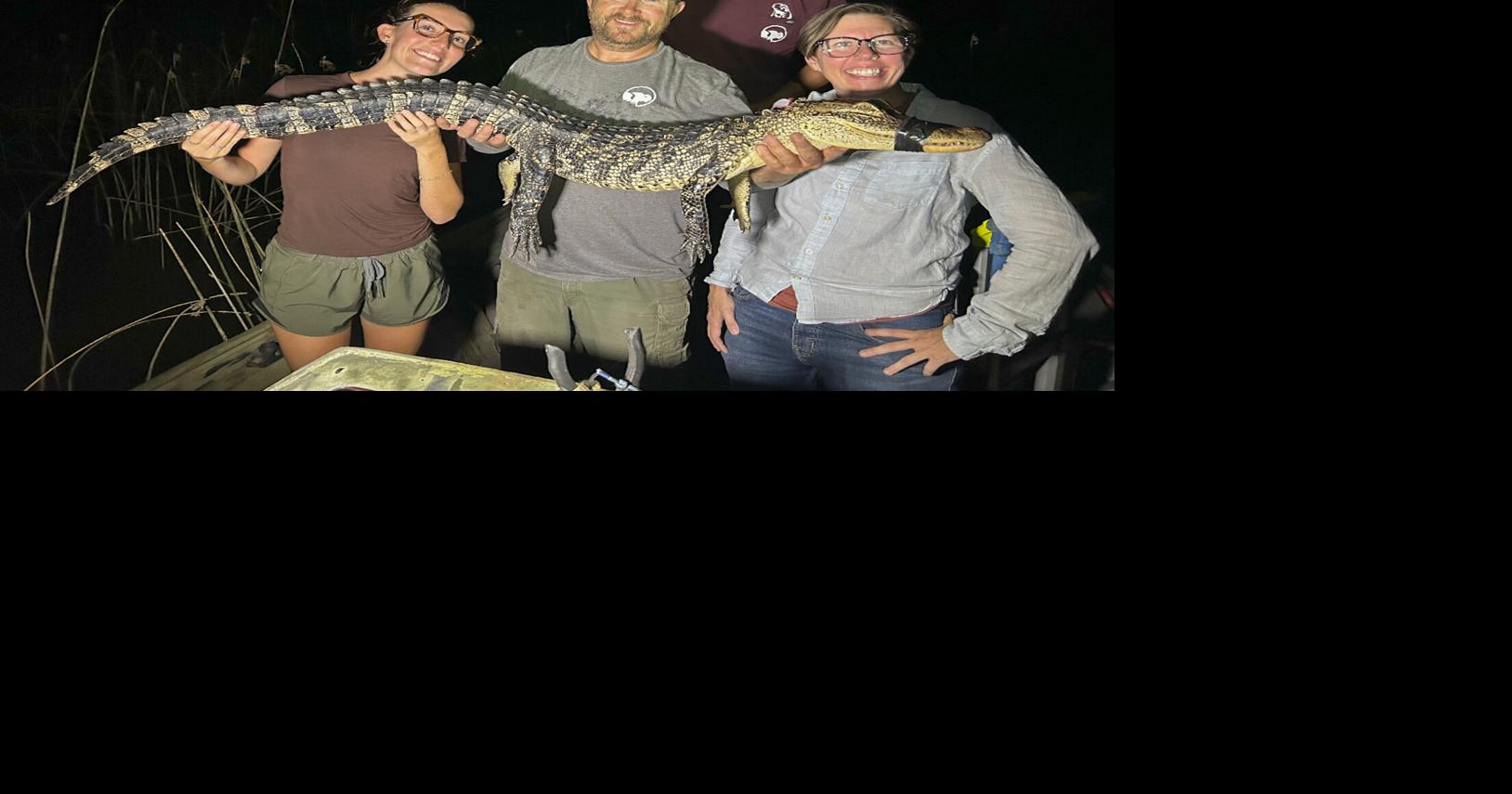 University students to study alligator population in Fort Worth