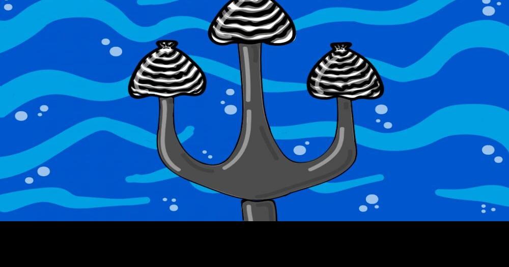 We must be aware of the costly impacts of the invasive Zebra mussel