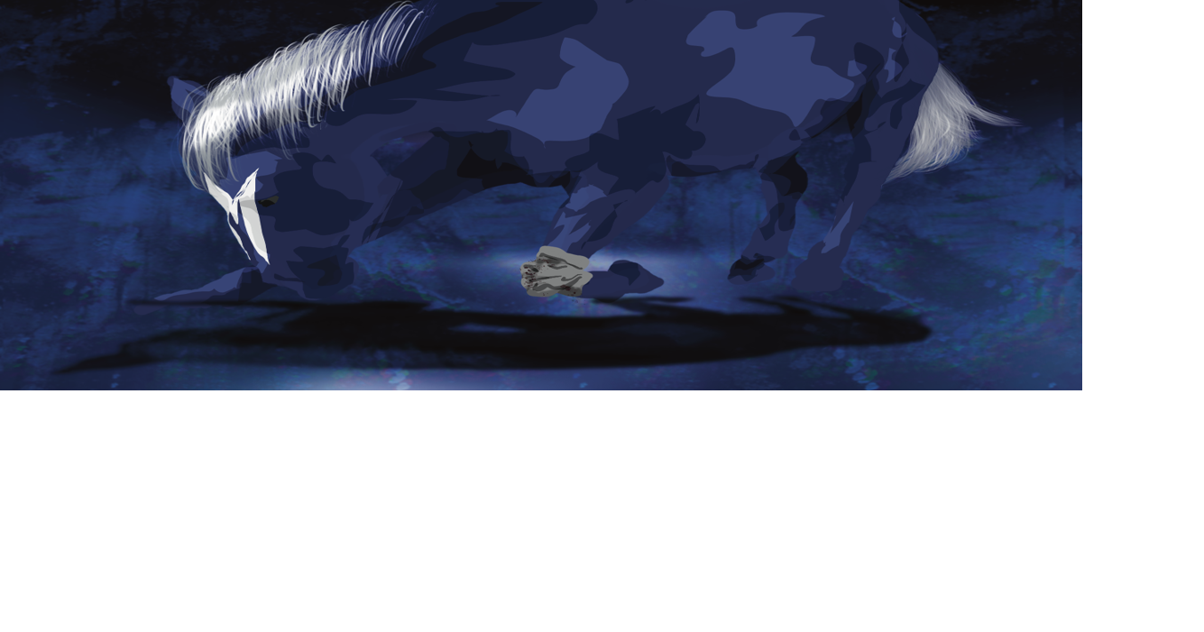 COLUMN: Midseason review of the Dallas Mavericks one year after Luka Dončić trade