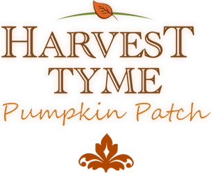 harvest tyme pumpkin patch