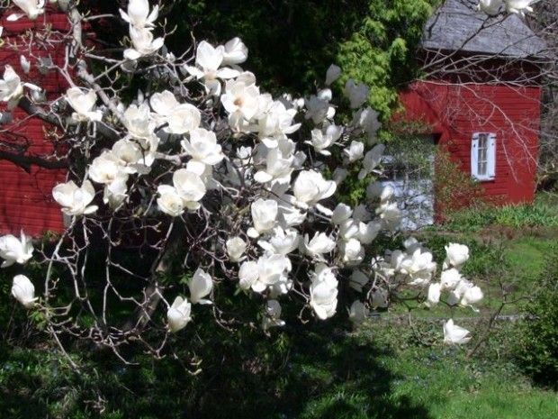 Nature abounds at doorstep to the dunes