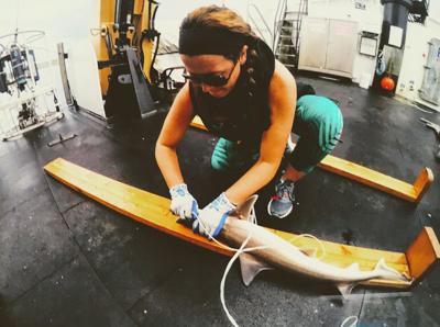 Crown Point High School teacher to join deep-sea ocean expedition