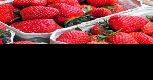 Eat strawberries and pecans, skip sugar and sun, new drugs - Vimarsana News