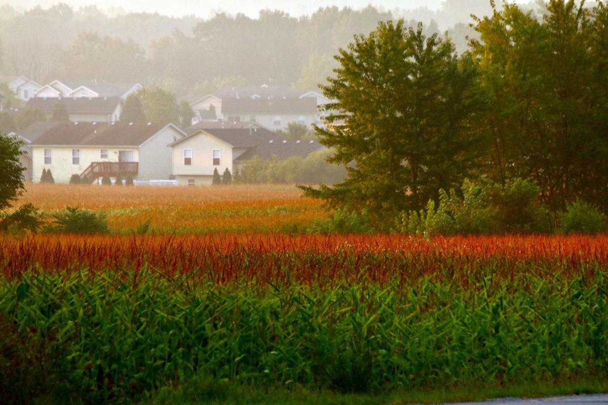 Rural subdivisions