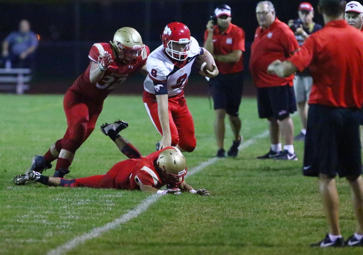 Gallery: Munster at Andrean football