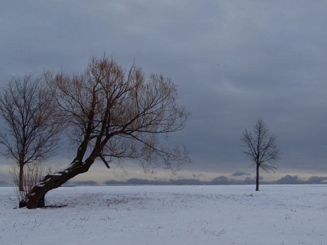 Snow 2018