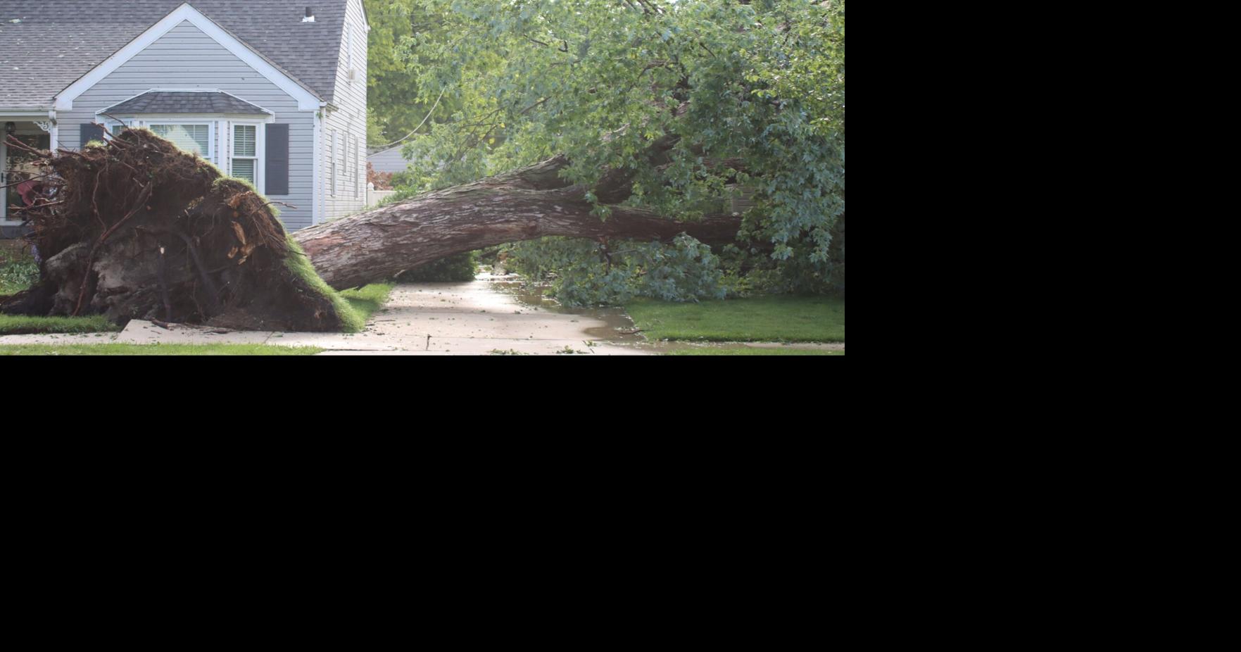 PHOTOS | Overnight storm leaves damage across Northwest Indiana