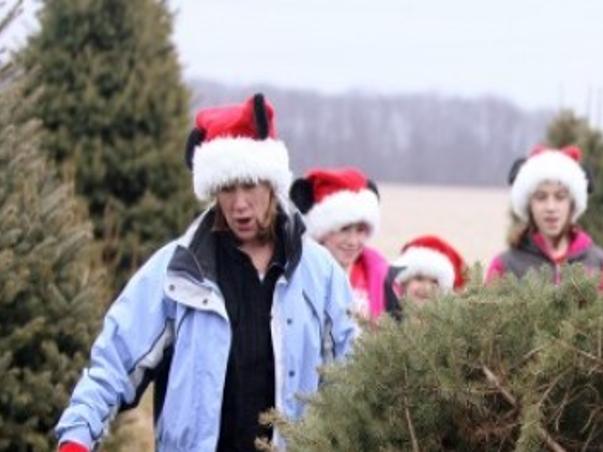 Christmas Tree Farms Offer Holiday Spirit Tradition Northwest Indiana Business Headlines Nwitimes Com