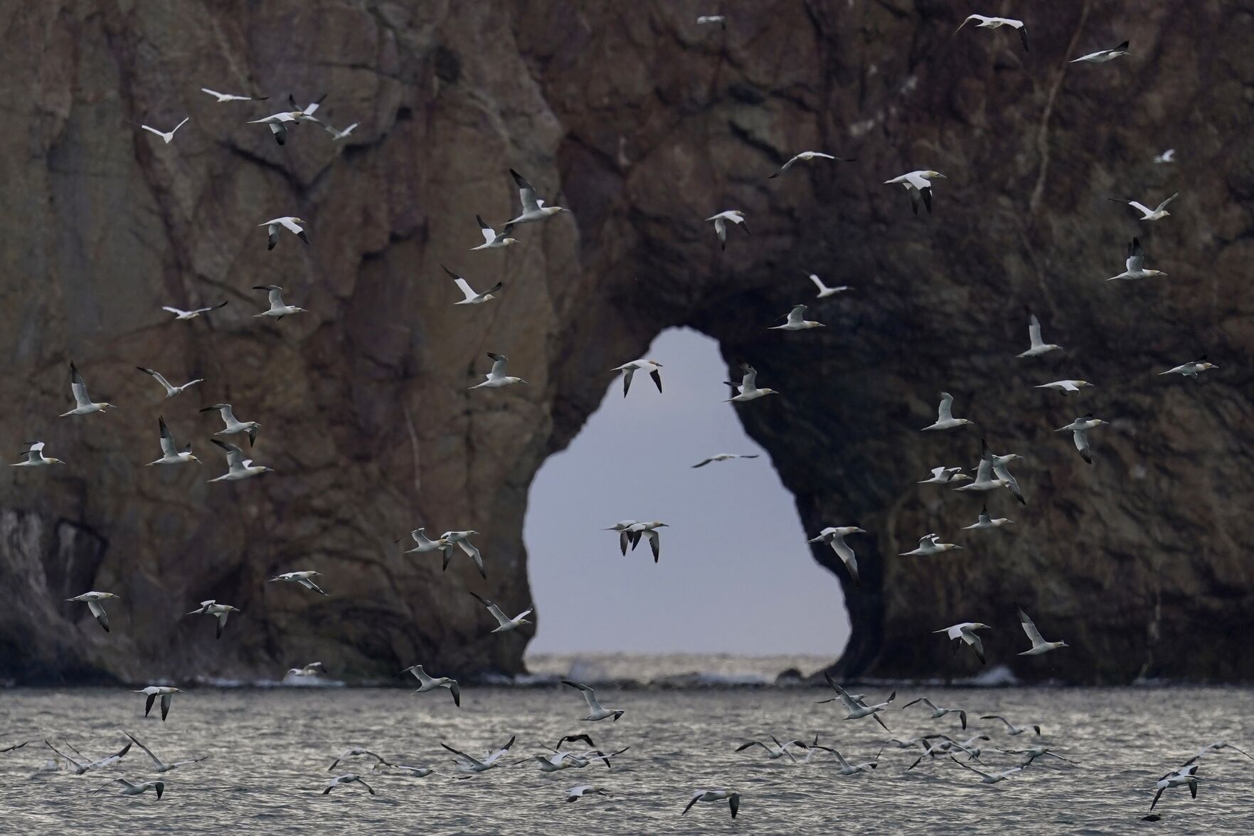 Climate Change Coastal Erosion