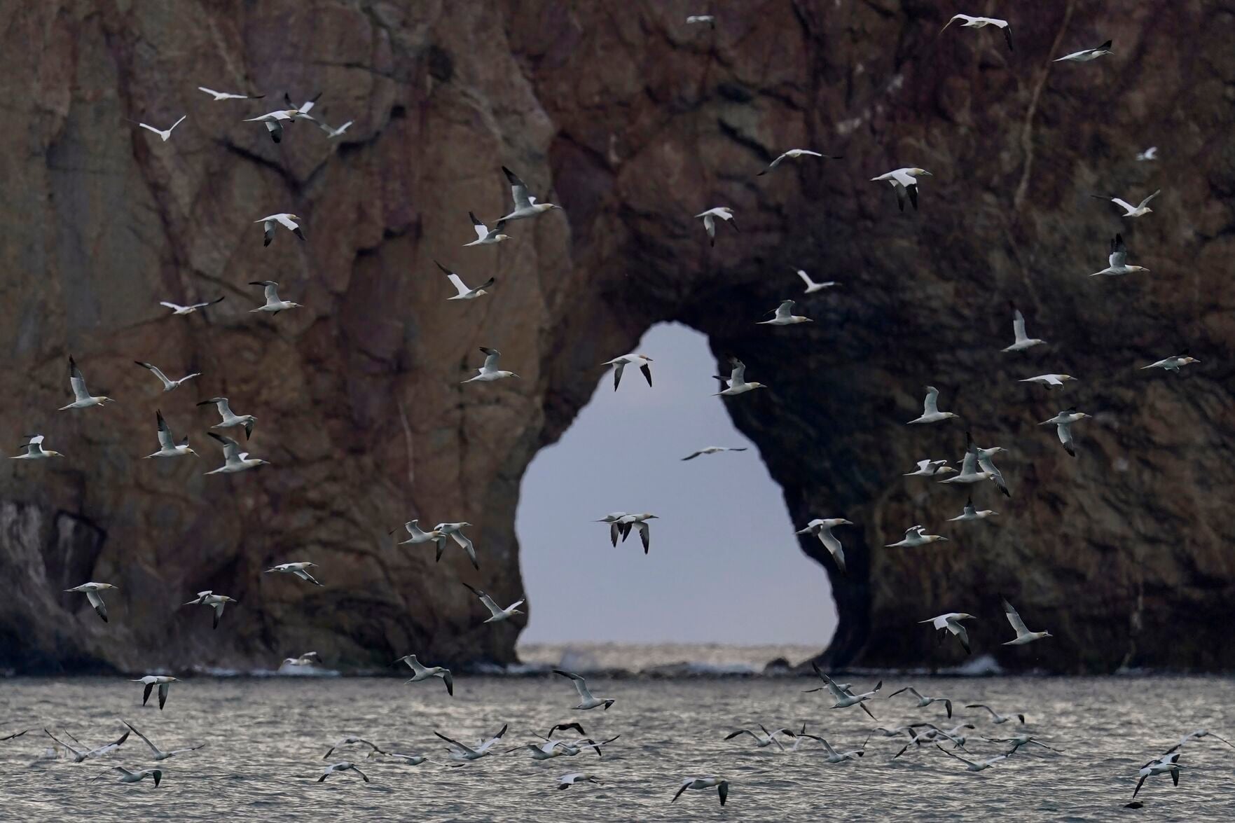 Climate Change Coastal Erosion