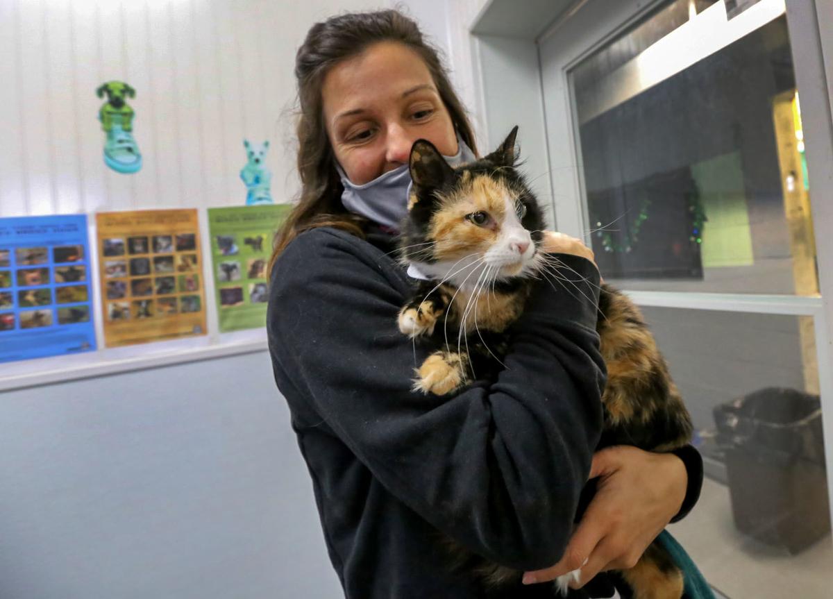 28 Top Images Bissell Pet Foundation Empty The Shelters / Young-Williams Animal Center to 'Empty the Shelters' with ...
