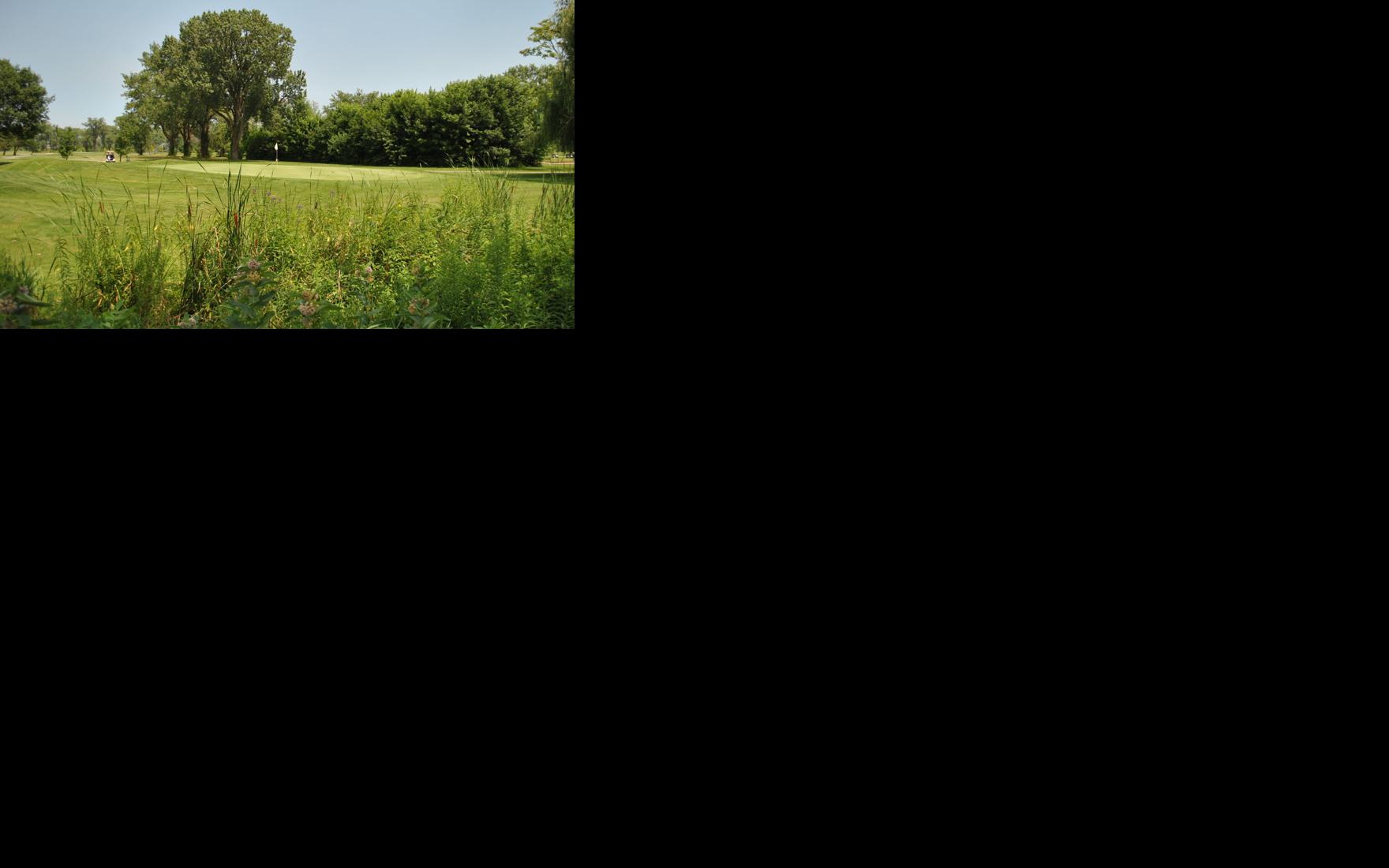 Asset-image