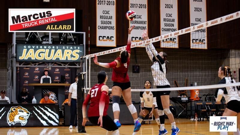 Volleyball Rallies from Two Sets Down to Stun St. Francis in Five