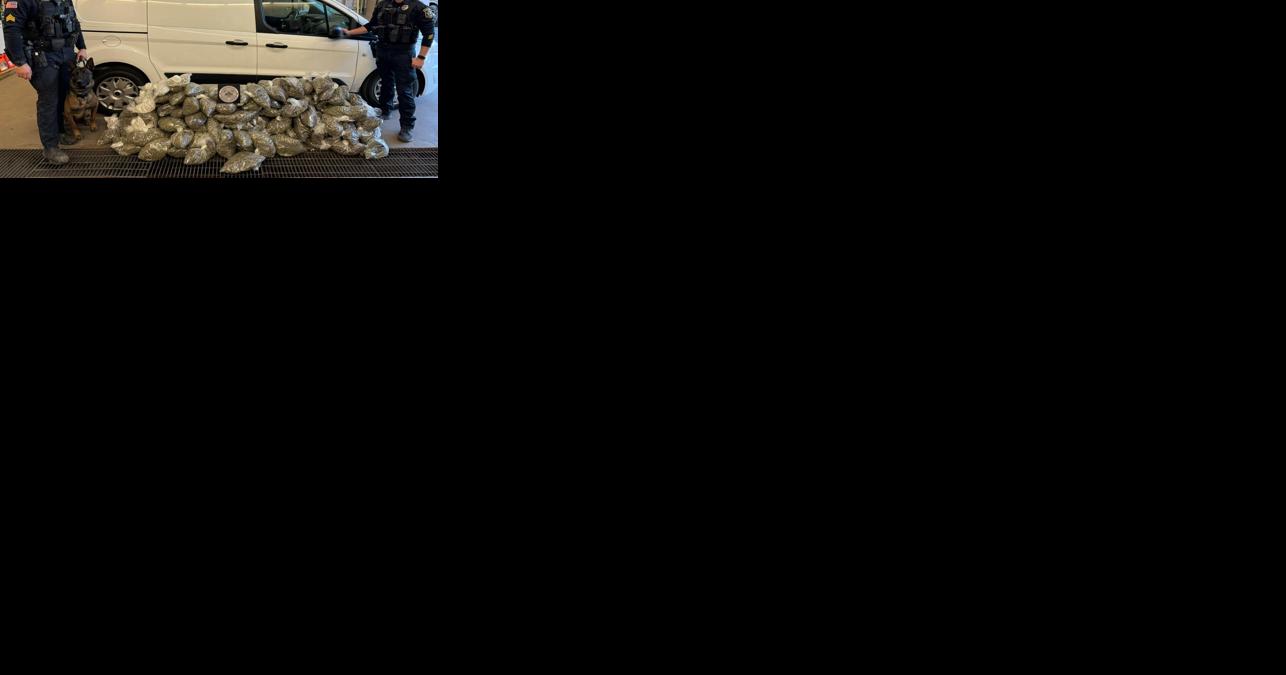 Cops: Sunday drive in Porter County ends with huge pot bust - Vimarsana News
