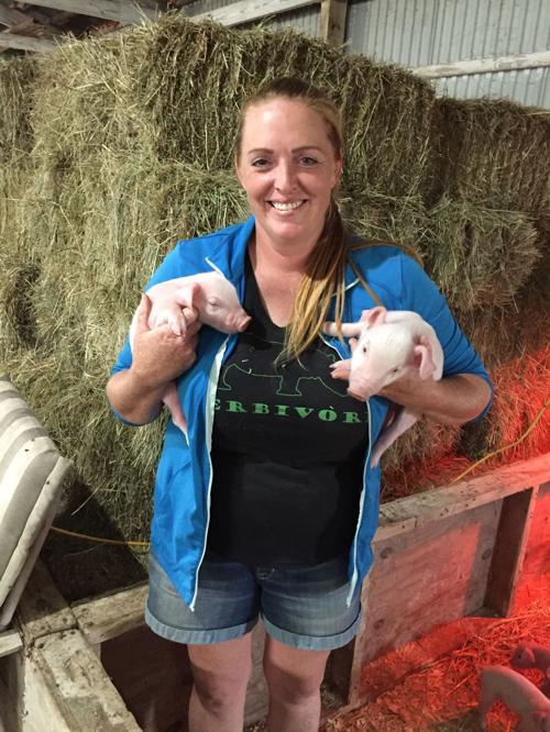 Erin's Farm offers safe haven for discarded pets, abused animals