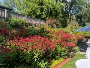 The Lake County Master Gardeners to host annual Garden Walk on June 30