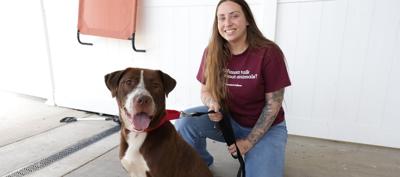 Get Healthy Pet Wearables Jessica Greer with Echo. Jessica Greer, Senior Director of Clinic and Shelter Operations at Humane Indiana.