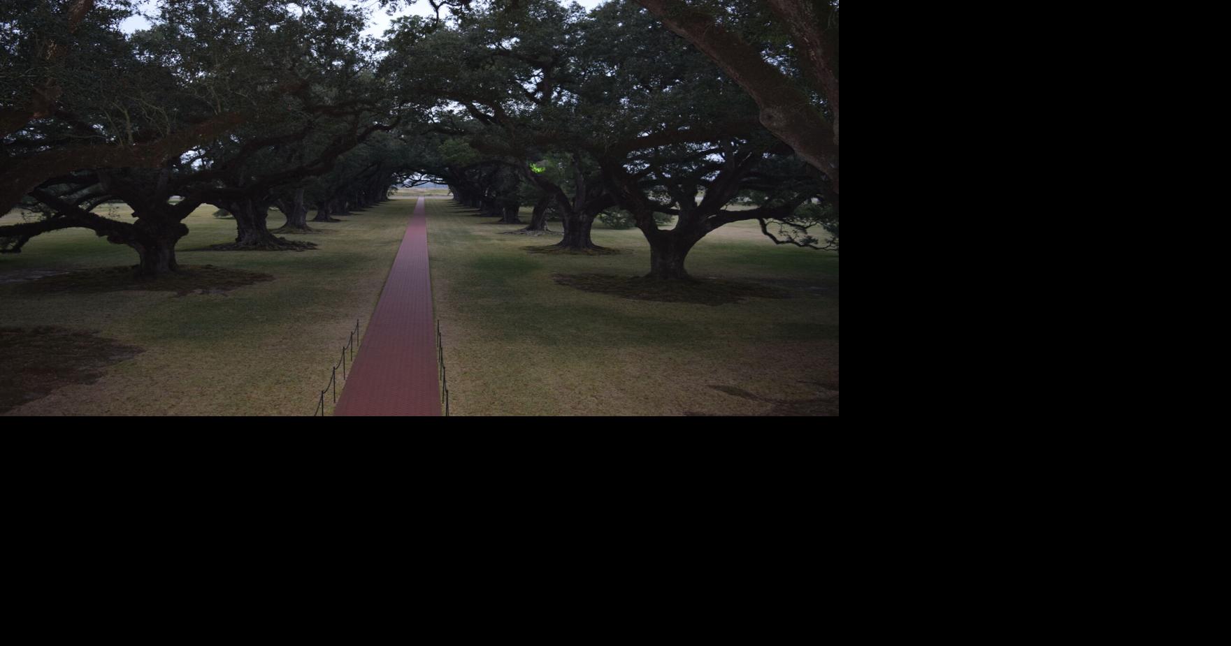 TRAVEL | Plantation tours in Louisiana grapple with dark American history