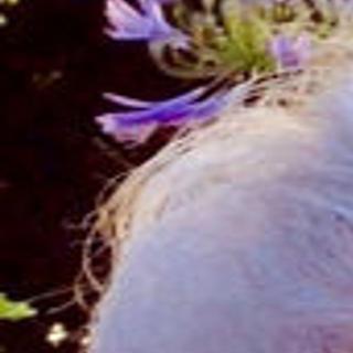 Deedee Winterhoff Local Obituaries Nwitimes Com