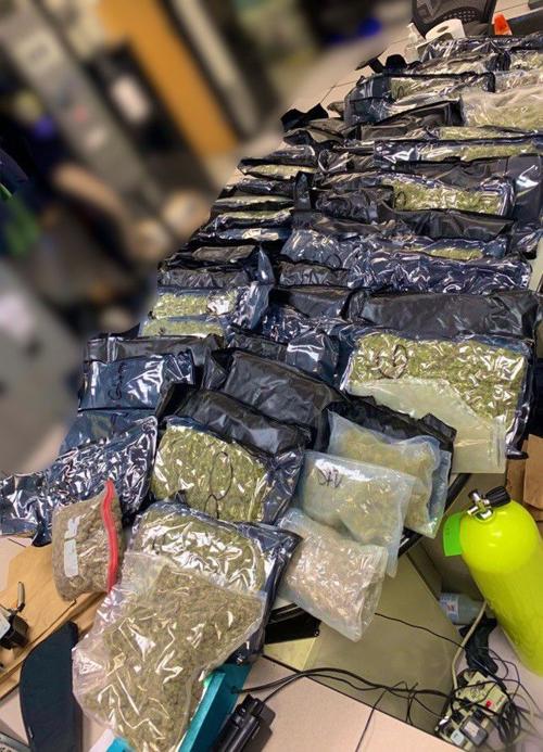 Police recover more than 65 pounds of marijuana, arrest 3 using 'Blue Net' system