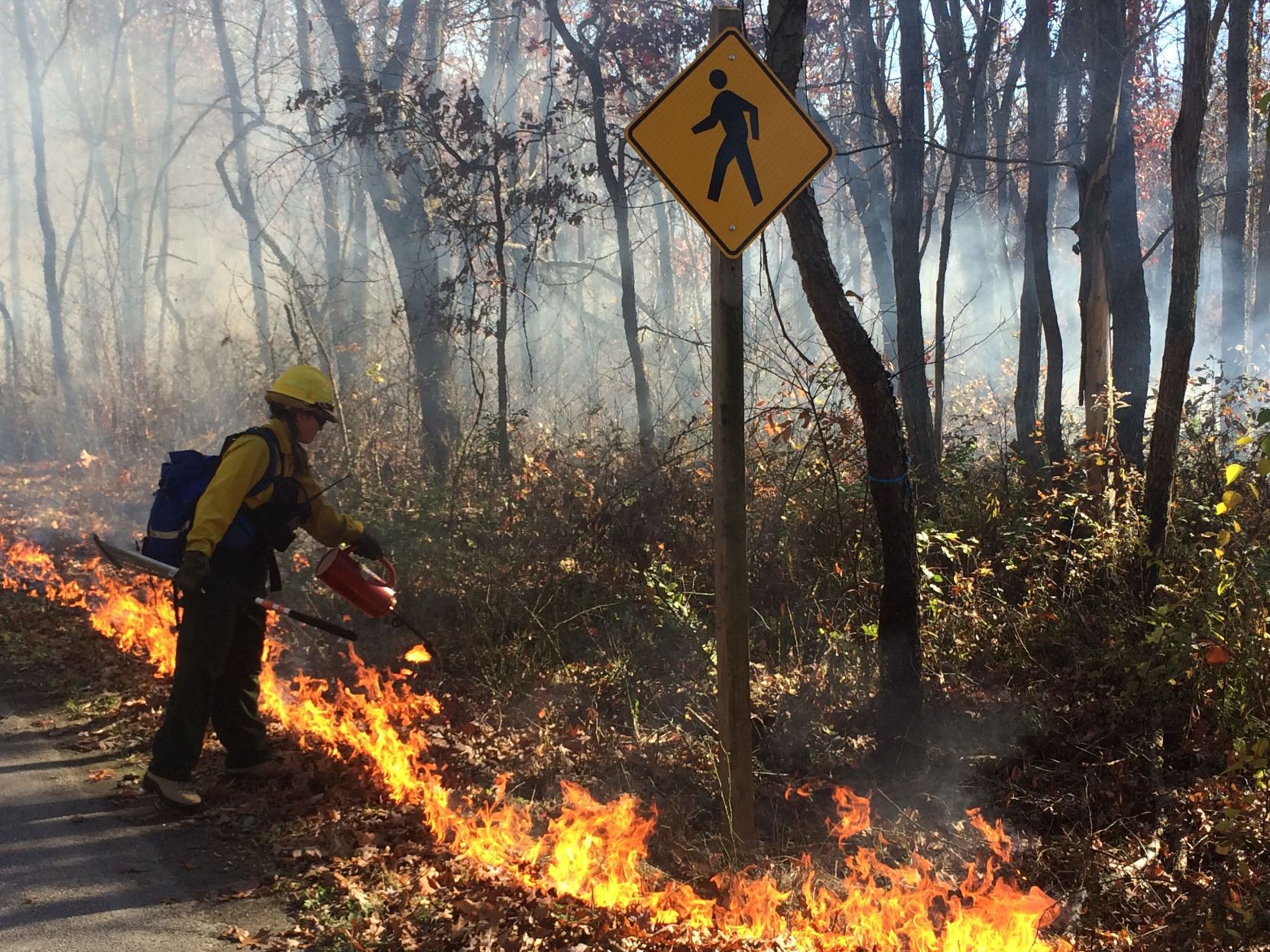 National Park Service Plans Prescribed Burns | Lake County News ...