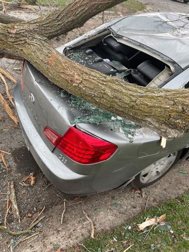 It basically blew the tree up': Lightning strike knocks out power, destroys  car