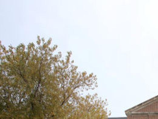 Gary Roosevelt Academic Services Provider To Withdrawal From