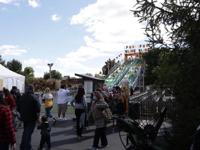 For more than 40 years, Bengtson's has harvested fall memories and fun in Homer Glen