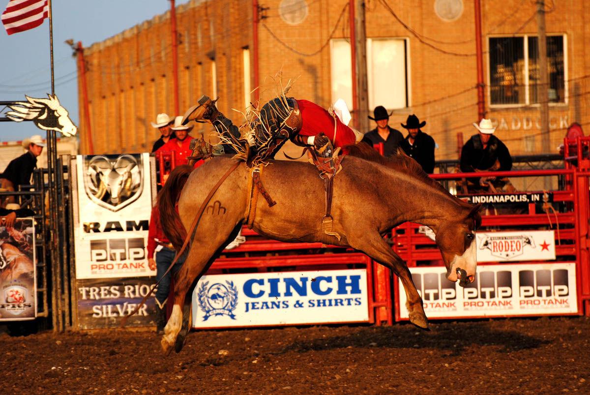 Gallery Indiana State Fair rodeo Digital Exclusives Photo Galleries