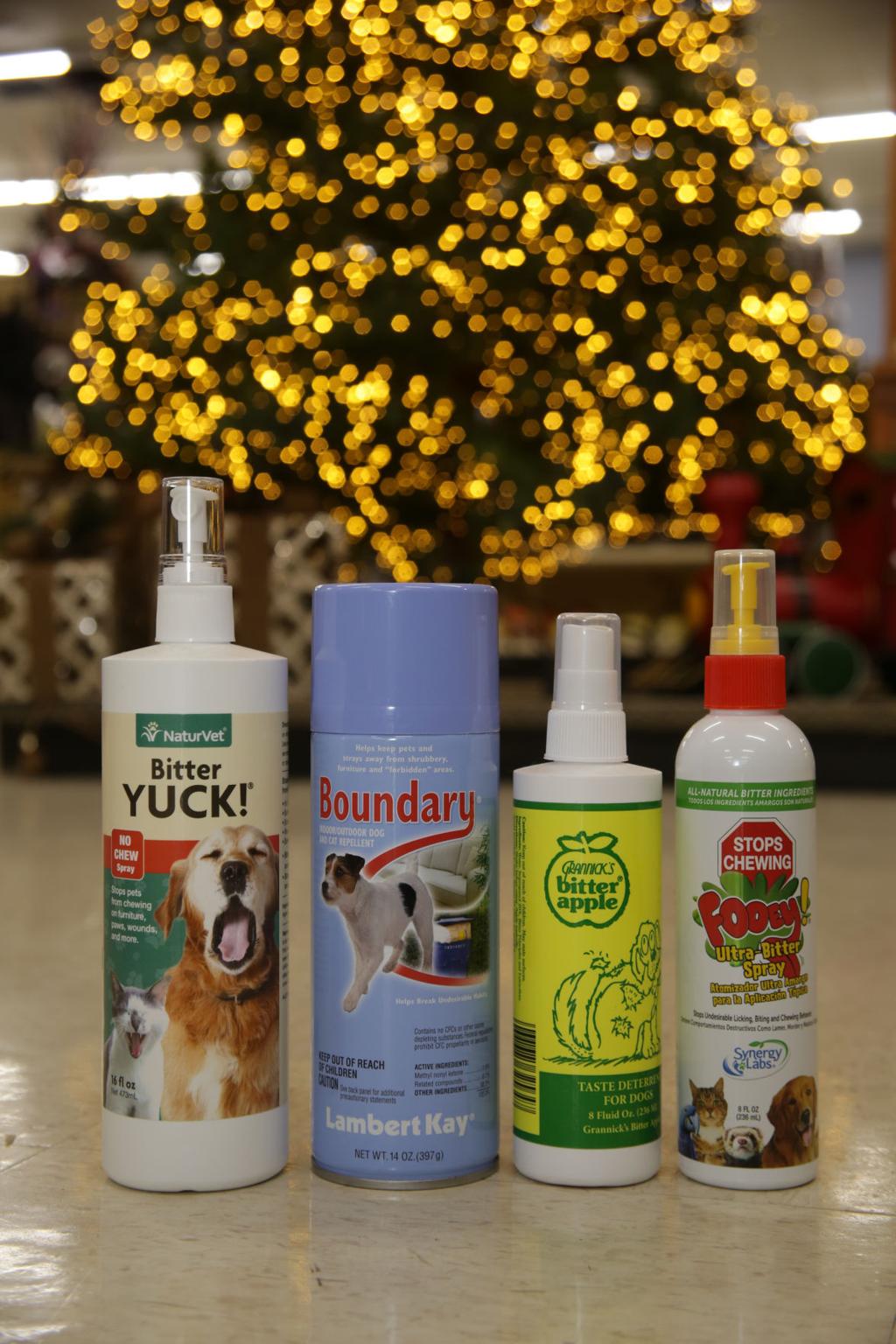 How To Keep Your Pets Safe From Christmas Decorations Foods And Foliage Health Care Nwitimes Com