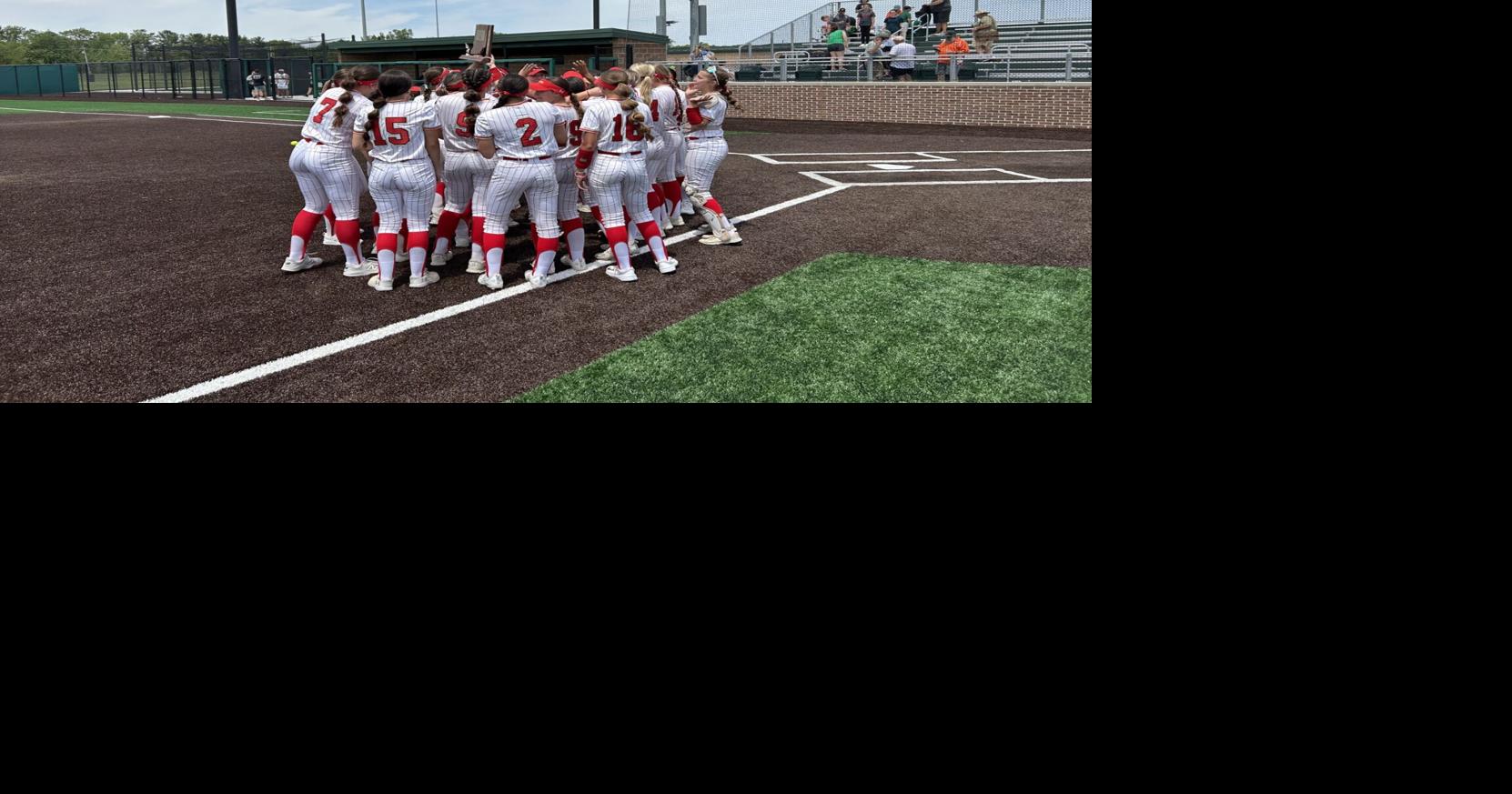 Andrean softball