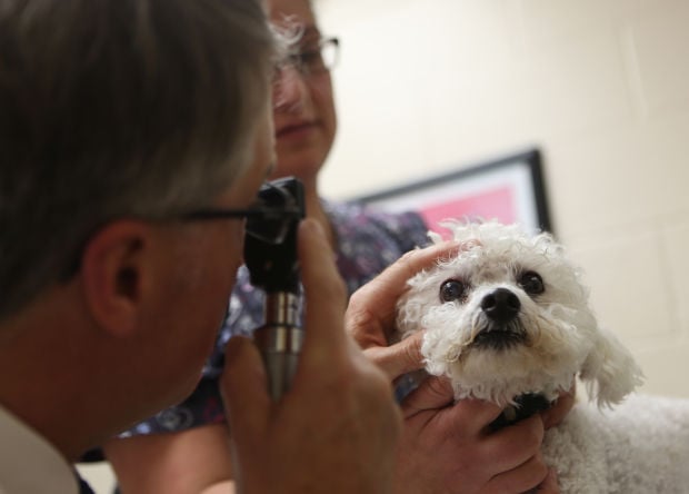SMALL-BUSINESS SPOTLIGHT: Smith Animal Clinic, Crown Point and DeMotte