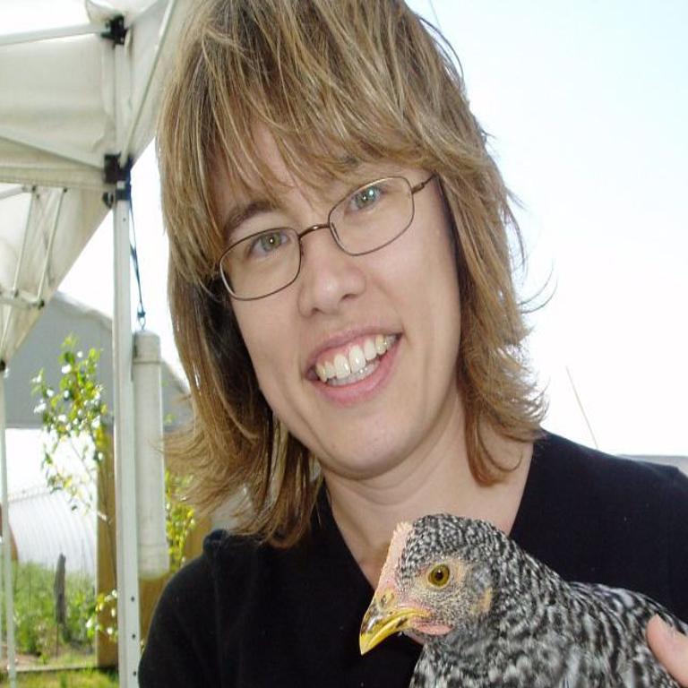 Urban Chicken Coops Could Soon Find Foothold In Region Porter