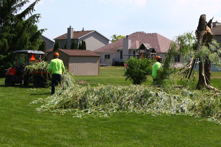 Trees, shrubs cut down in Dyer subdivision for pipeline surveillance