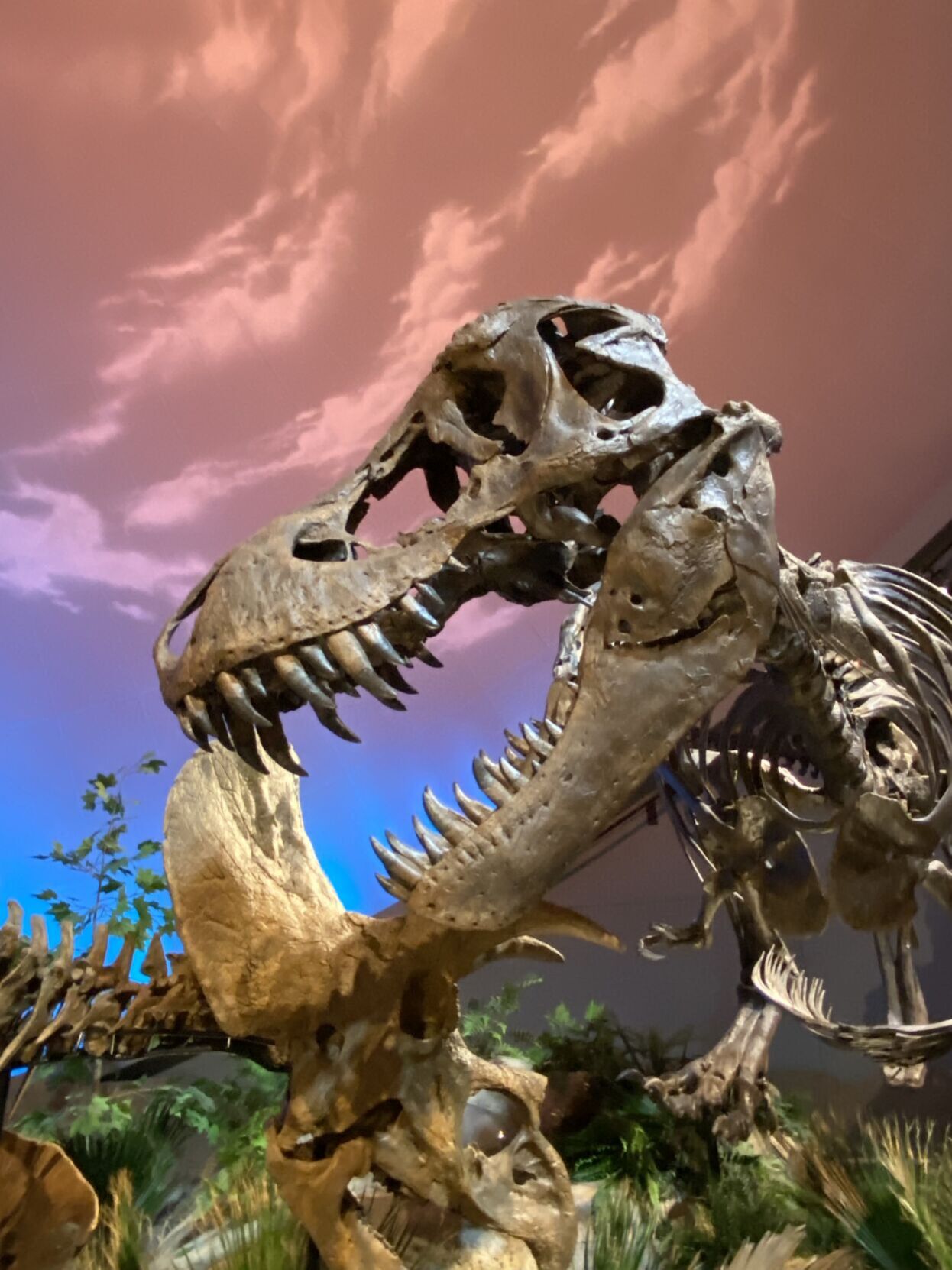 An Exhibit Of Jurassic Proportions: Children's Museum Of Indianapolis ...