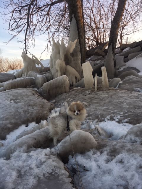 Snow 2018