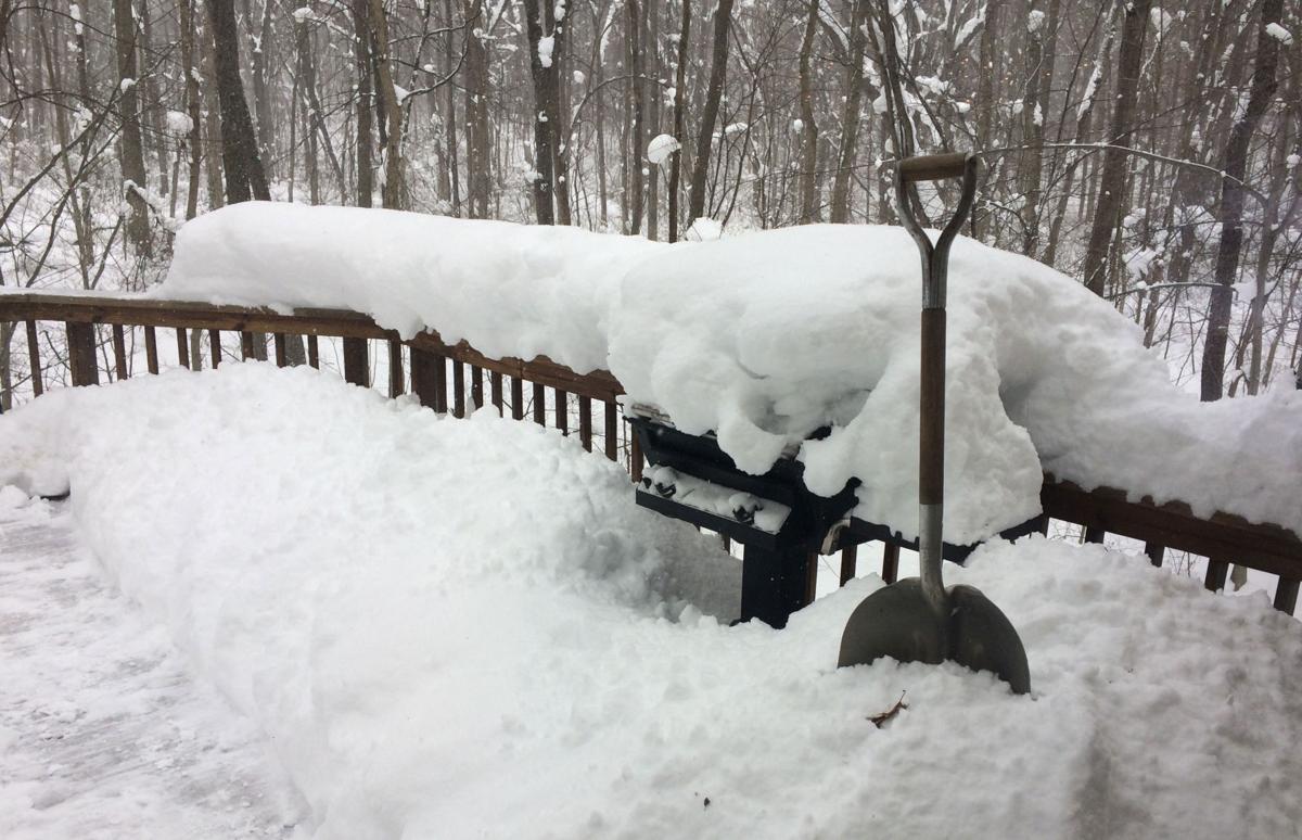 Snow 2018