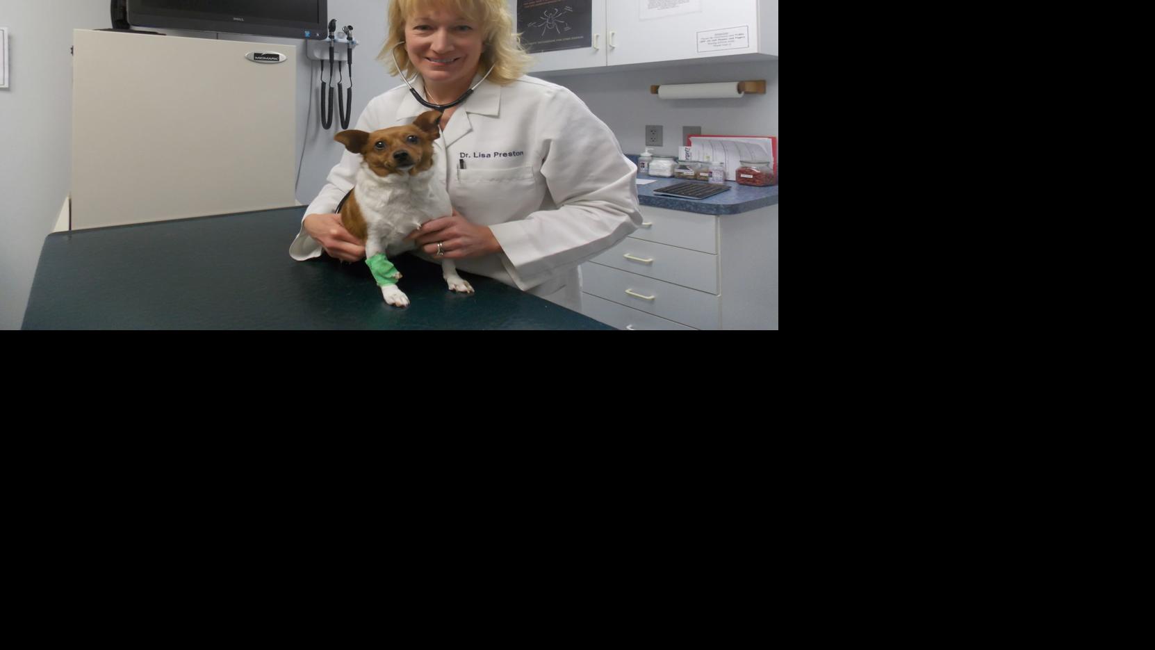 Best Veterinarian/Animal Care Best Services in Northwest