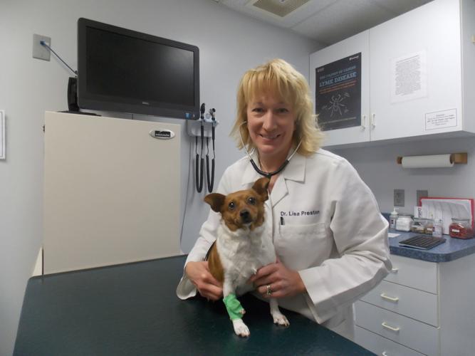 Best Veterinarian/Animal Care