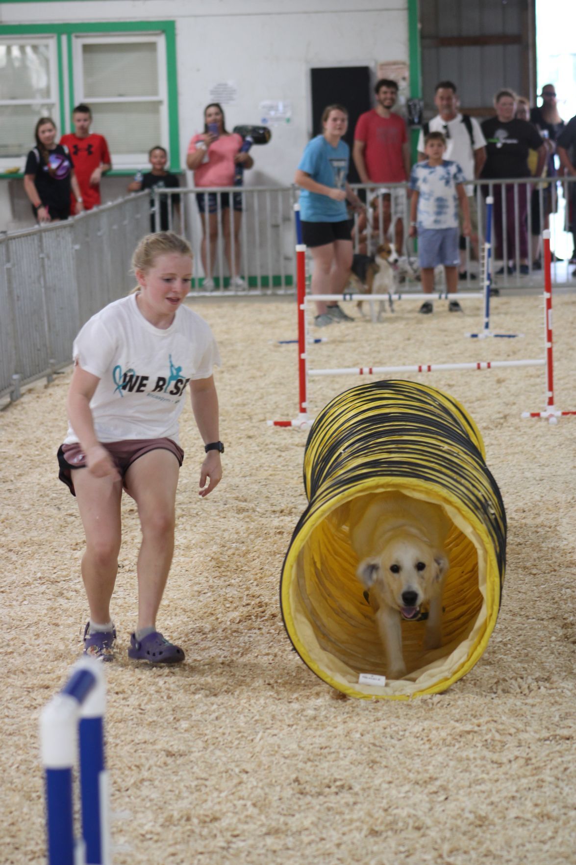 Show dog goes out a champion at Porter County Fair | Local News