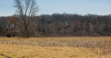 Lake County Parks buys almost 100 acres in Schererville Lake County Parks buys almost 100 acres in Schererville
