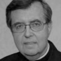 The Rev. Joseph Vamos: Blessed are the substitutes