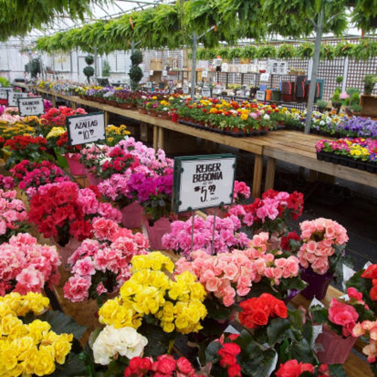 Spring Has Sprung At Sawyer Home And Garden Center Home Garden