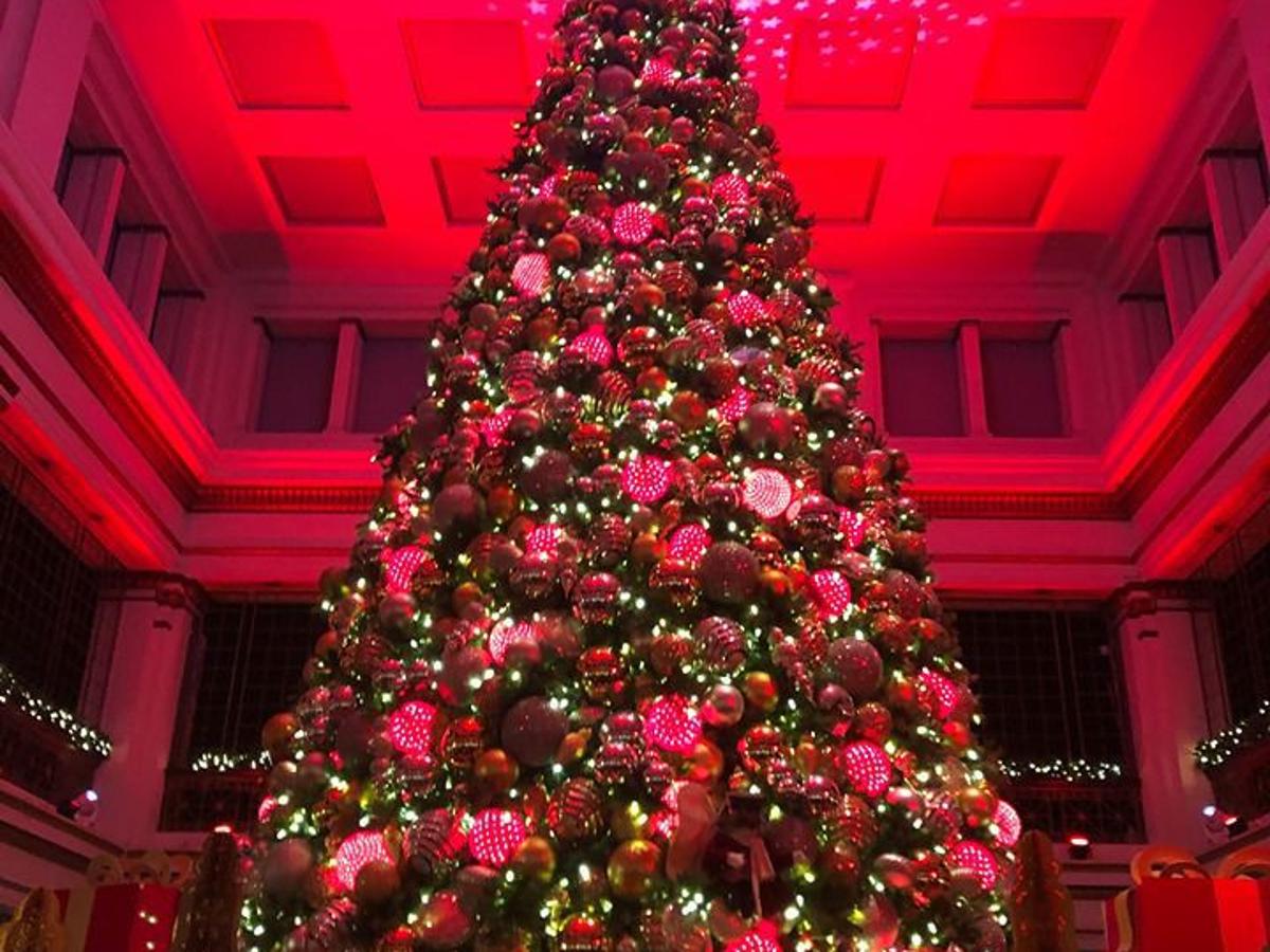 Gallery Beloved Christmas Traditions Around The Region And Chicagoland Entertainment Nwitimes Com Christmas Concerts 2021 Chicagoland