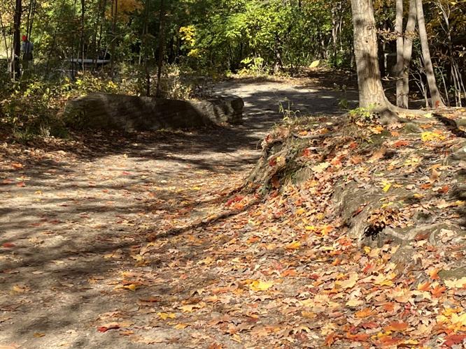 Forest preserves tap Swallow Cliff for  pilot program to keep hikers on trails